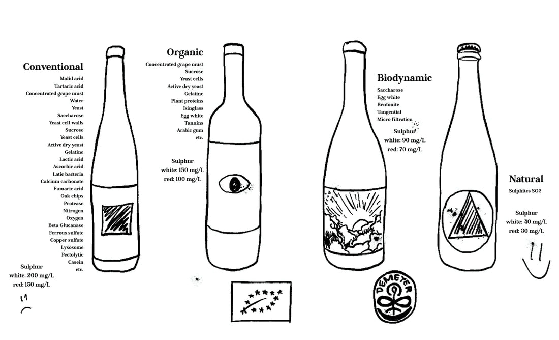 Natural Wine Trend 2026: Everything Wine Beginners Need to Know About Organic and Biodynamic Bottles