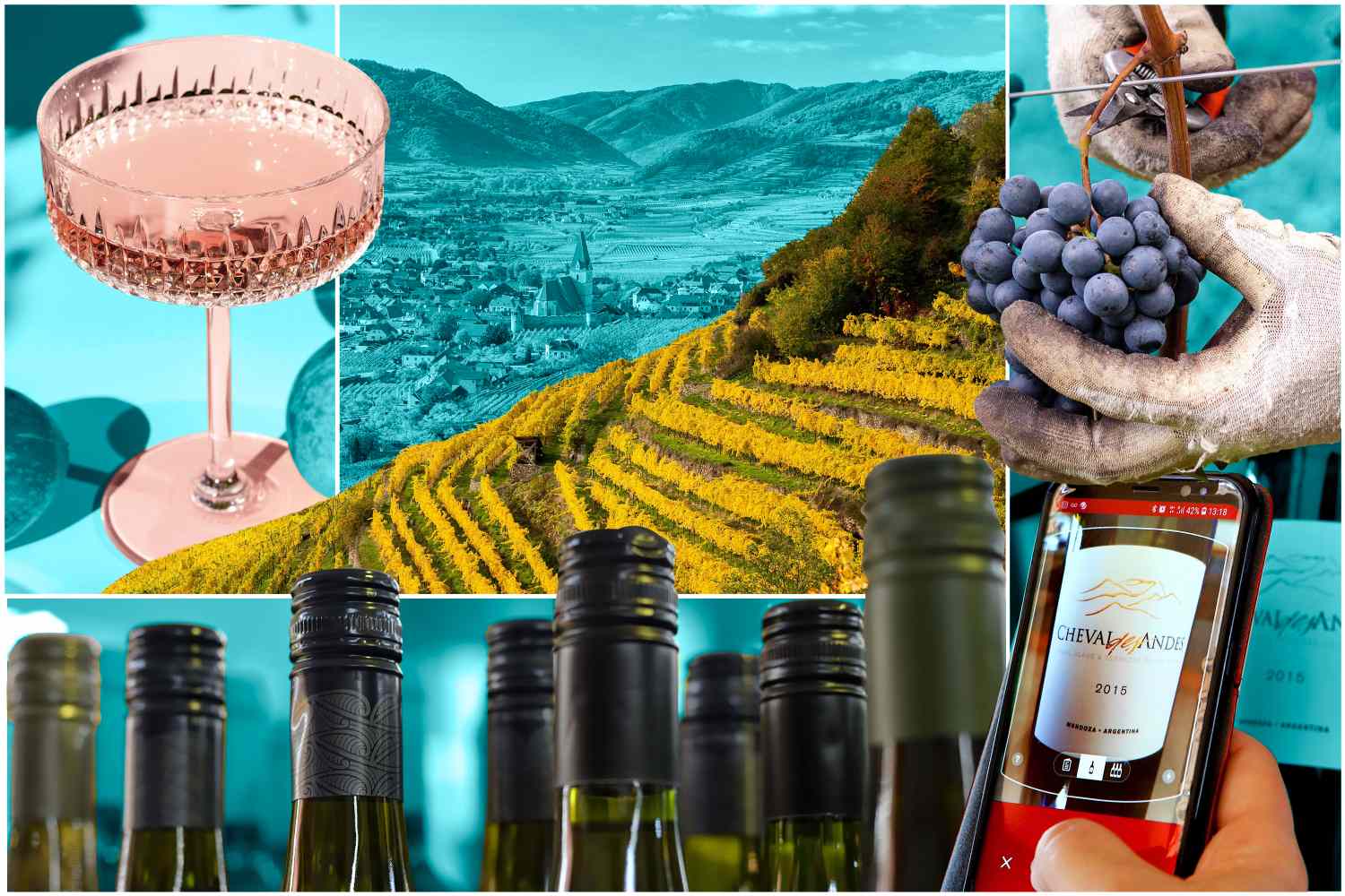 Best Wine Aerators for Beginners: A 2026 Guide to Sweet Reds