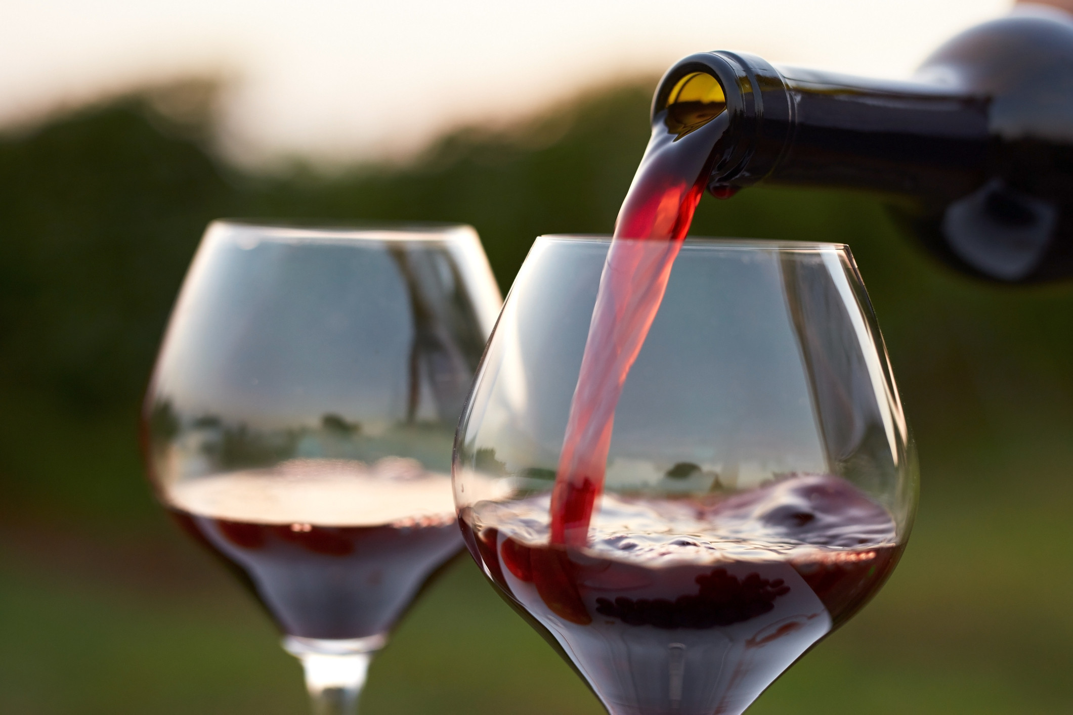 Best Tasty Glass Cups for Seniors and Caregivers in 2026