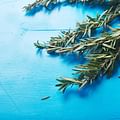fresh rosemary sprigs