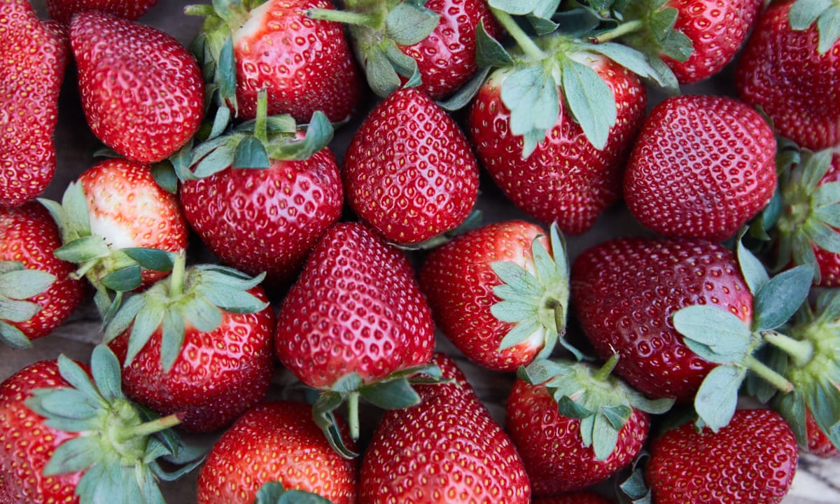 ripe strawberries