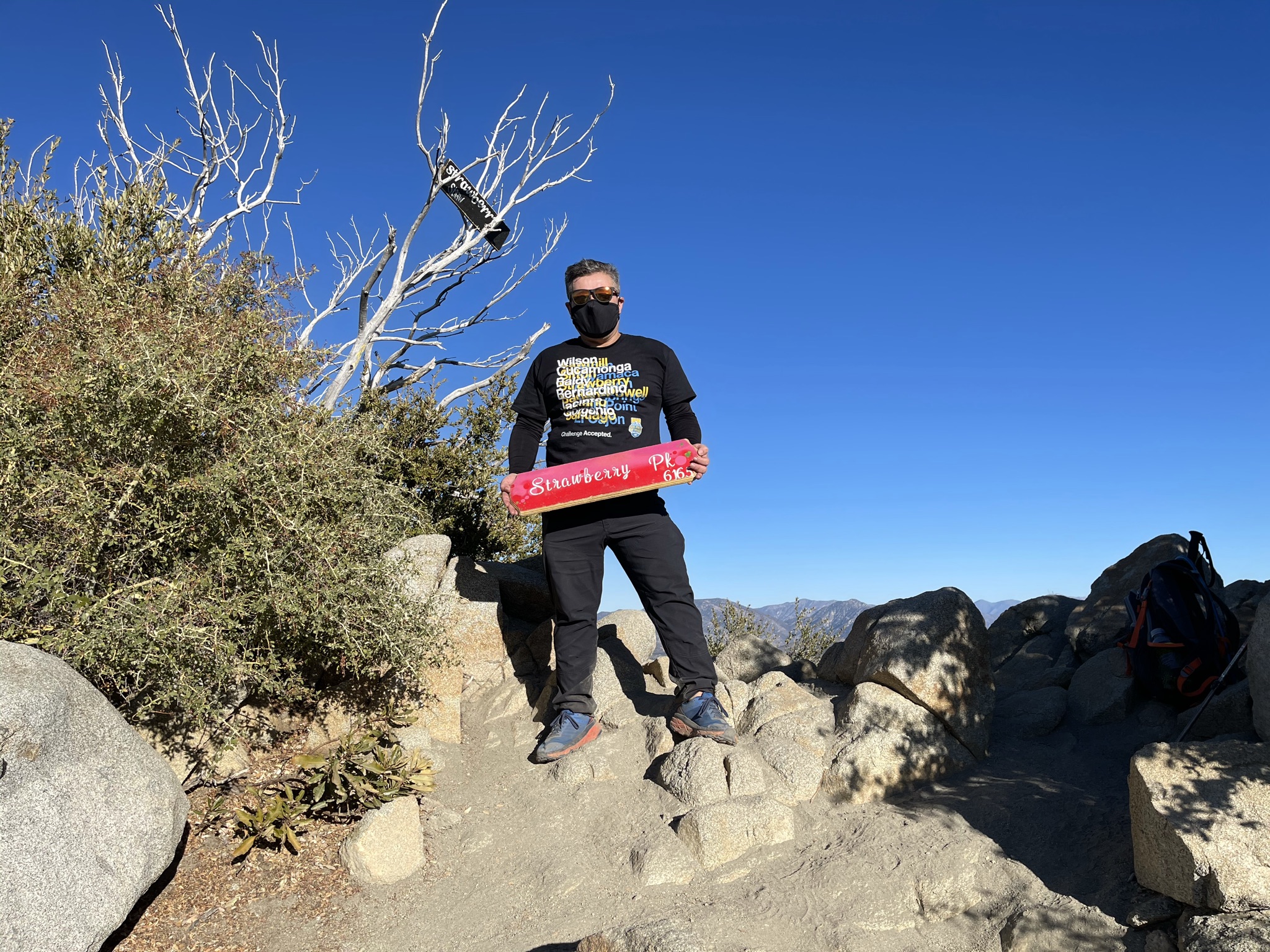 strawberry peak season