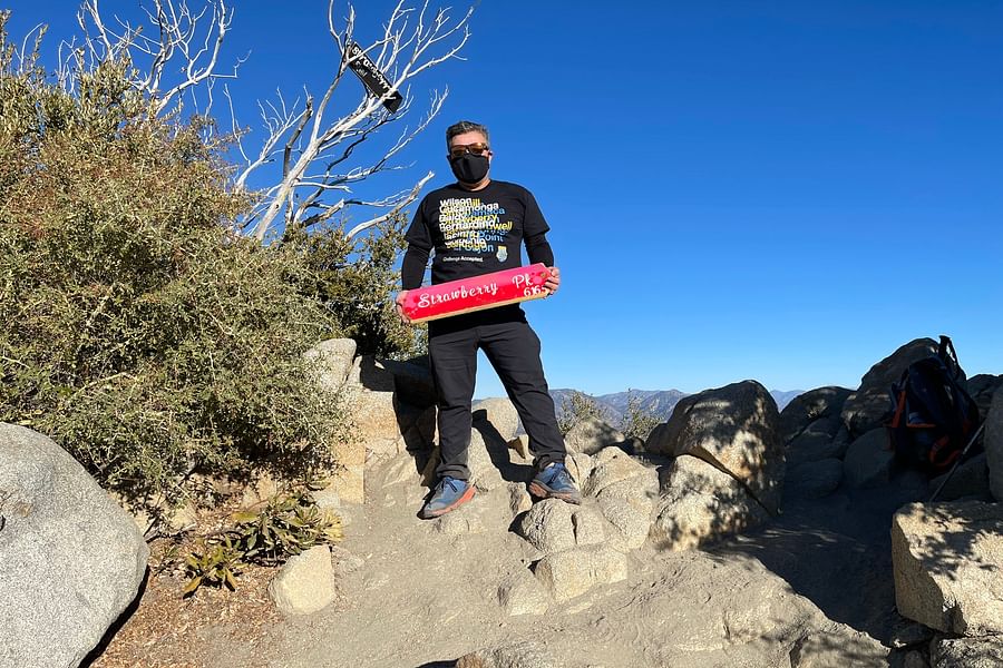 strawberry peak season