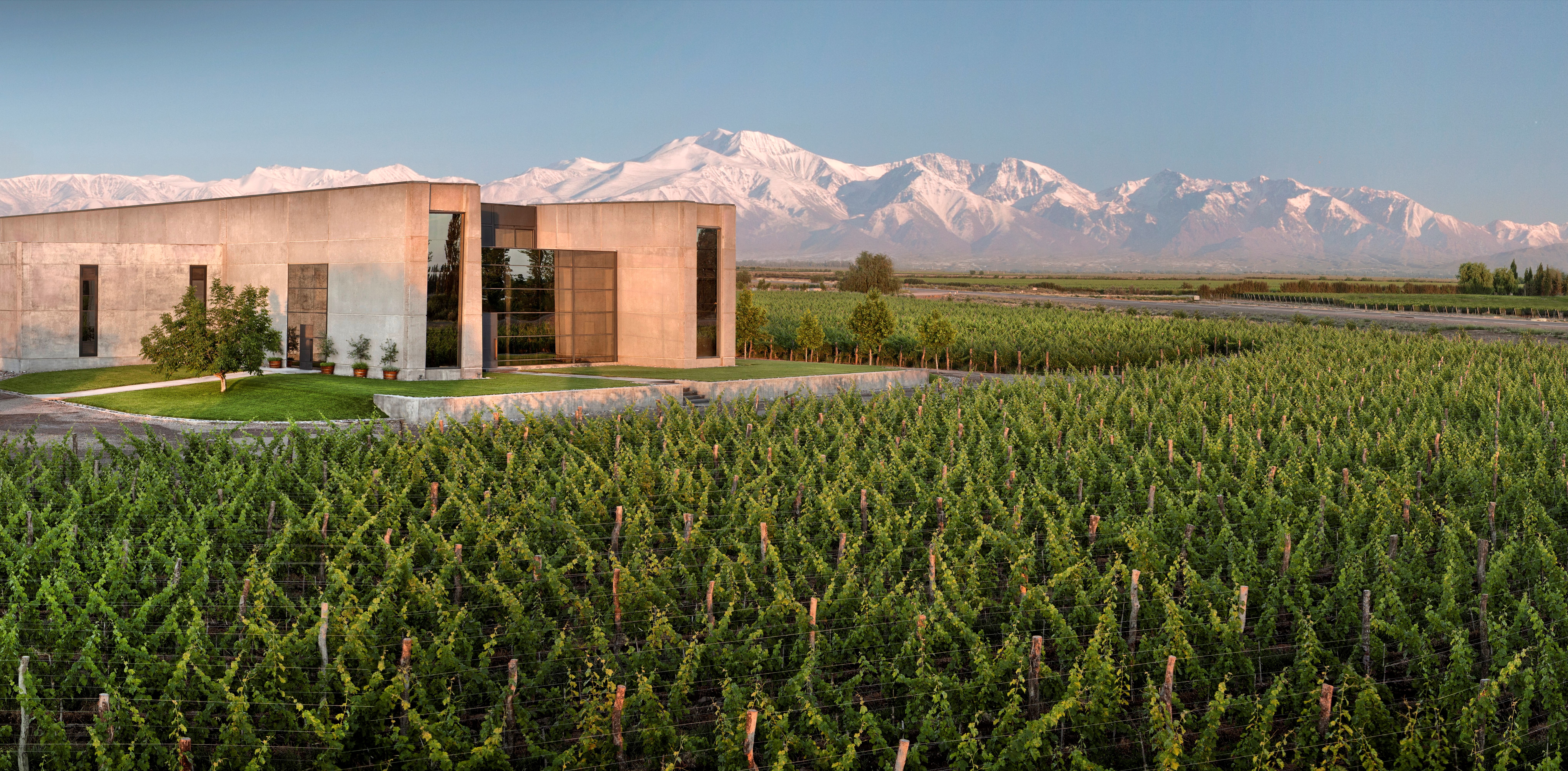 Cobos Bramare Malbec bottle