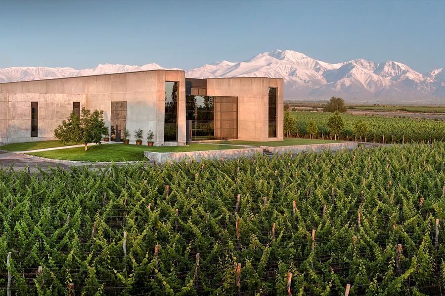 Cobos Bramare Malbec bottle