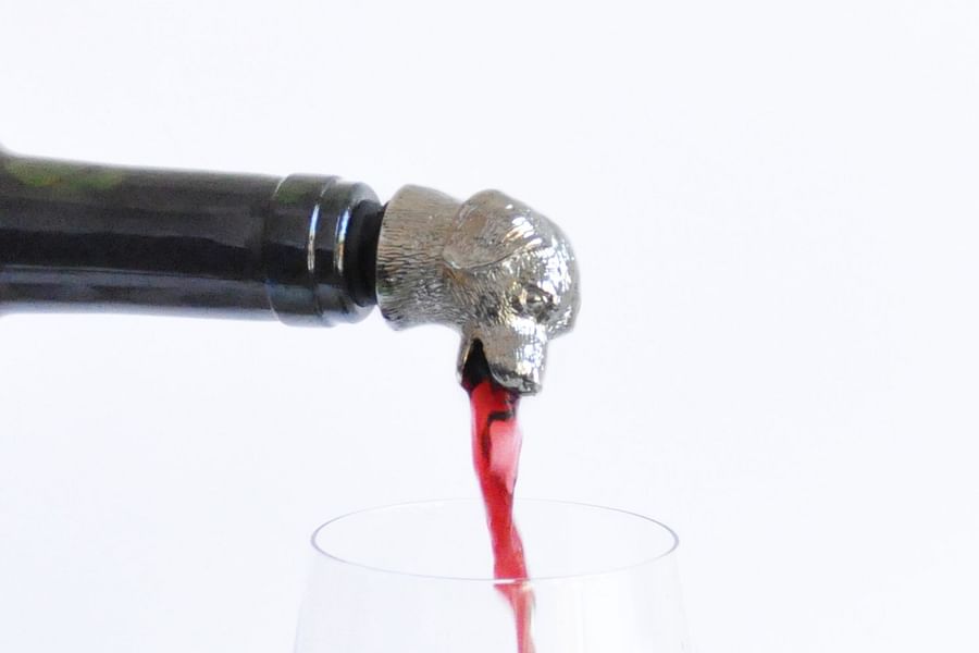 Wine pourer
