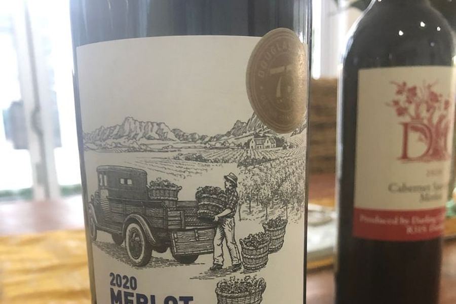 Western Cape Malbec vineyards