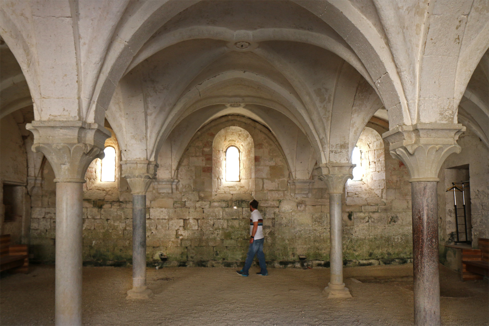 Abbey of Fontenay vineyards