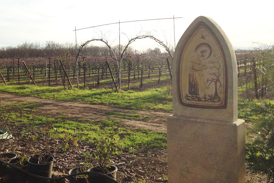 Abbey of New Clairvaux Vina