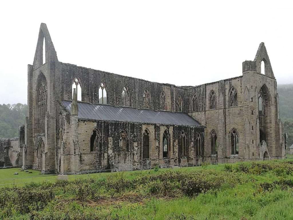 Monastery of Tintern vineyards