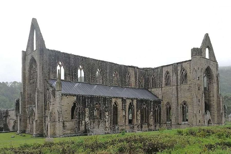 Monastery of Tintern vineyards