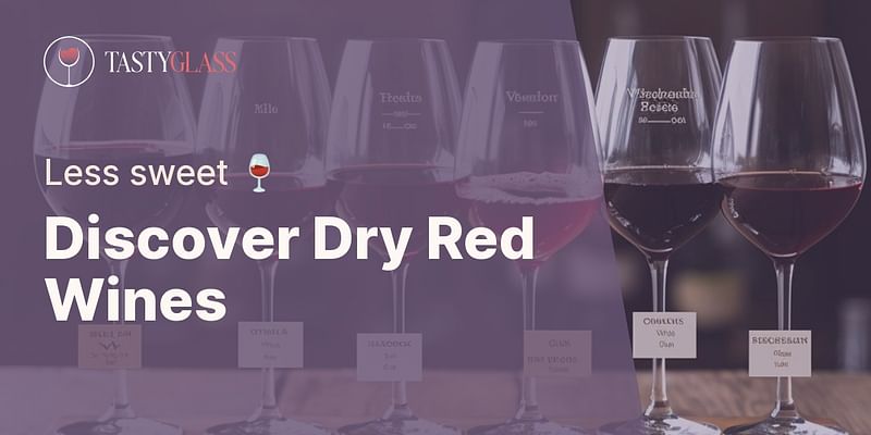 Discover Dry Red Wines - Less sweet 🍷