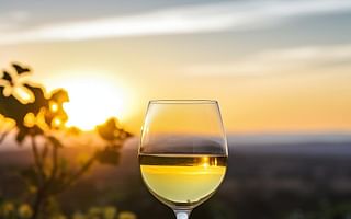 What is the best sweet and crisp white wine for solo enjoyment?